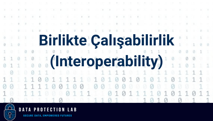Birlikte Çalışabilirlik (Interoperability)
